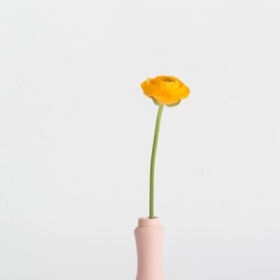 Foekje-Fleur-bottle-vase-pink-6.png